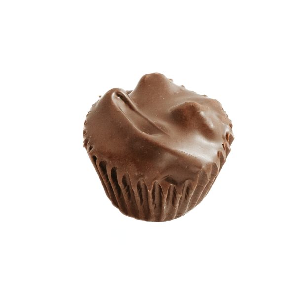 Dark Cashew Cup
